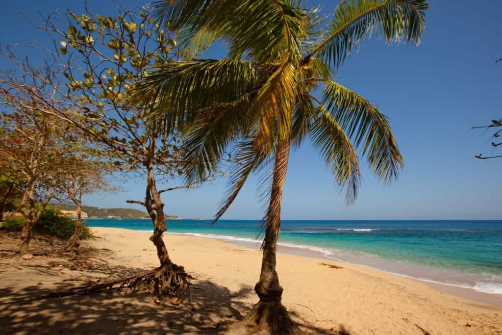 wood ford hill beach - Dominica