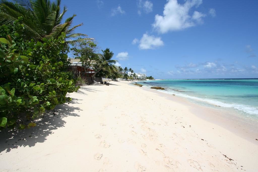 worthing court hotel barbados - beach